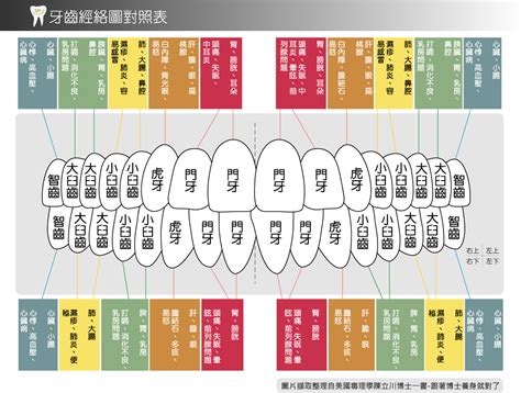 牙齒經絡|古書記載辨證奇聞：牙齒和經絡及其對全身之影響！